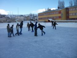 Kaymakam Almalı'dan örnek girişim